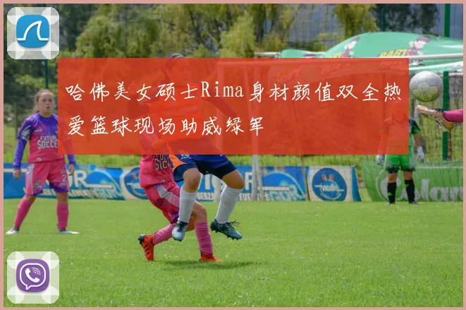 哈佛美女硕士Rima身材颜值双全热爱篮球现场助威绿军