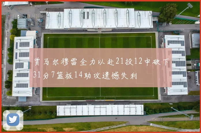 贾马尔穆雷全力以赴21投12中砍下31分7篮板14助攻遗憾失利